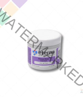 Chalk Paint Eterna x 200cc Plata